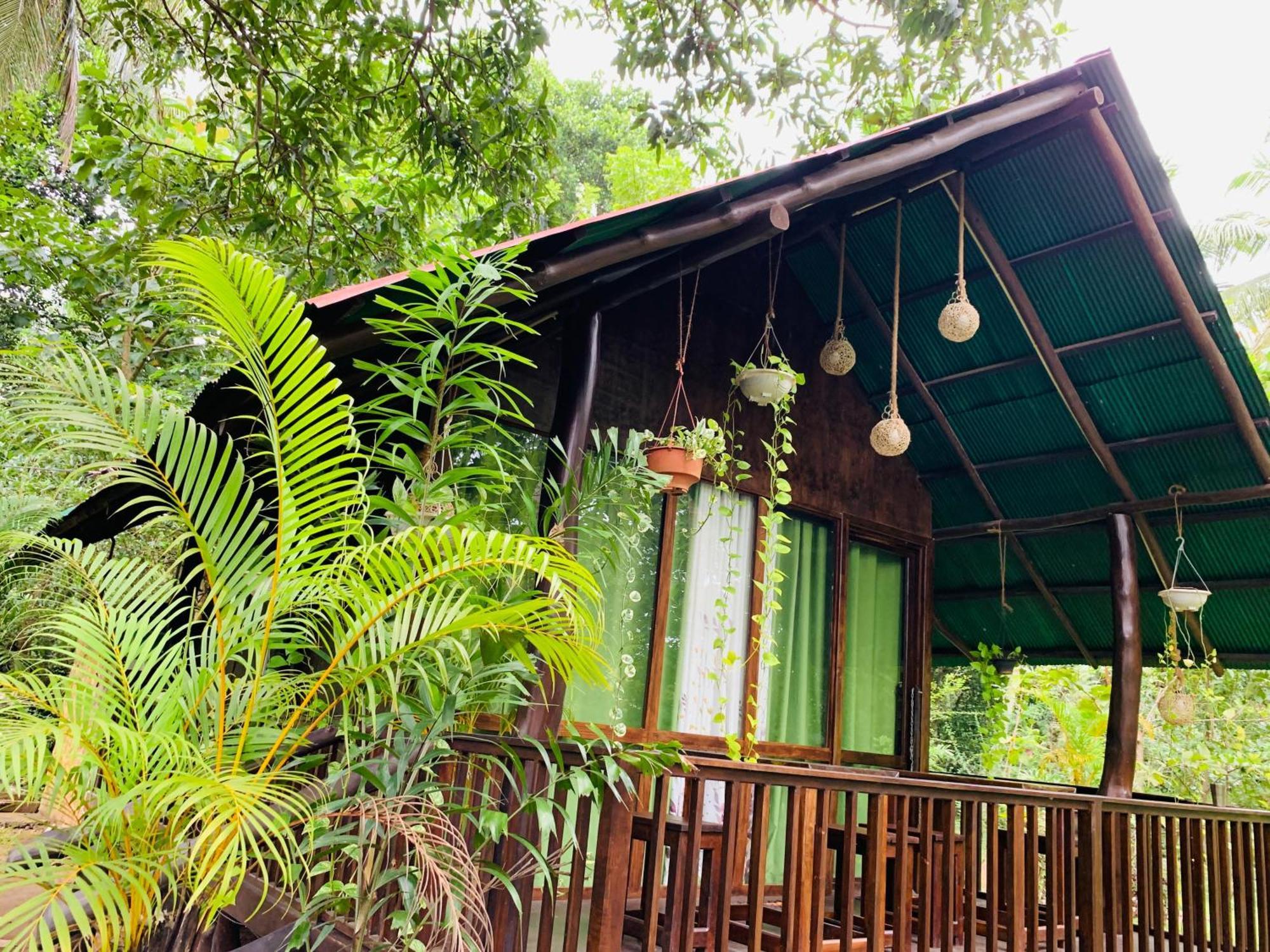 Coconut Tree House Hotel Udawalawe Ngoại thất bức ảnh